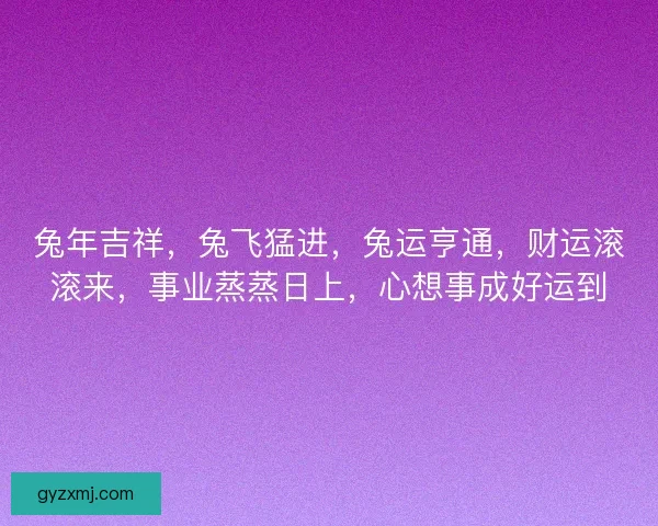 兔年吉祥,兔飞猛进,兔运亨通,财运滚滚来,事业蒸蒸日上,心想事成好运到 兔年吉祥,兔飞猛进,兔运亨通,财运滚滚来,事业蒸蒸日上,心想事成好运到